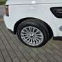 Land Rover Range Rover Sport Range Rover Sport 3.0SDV6 SE Aut. SE Blanco - thumbnail 16