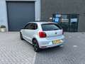 Volkswagen Polo 1.2 TSI Highline DSG/Pano/Achteruitrijcamera Gris - thumbnail 11