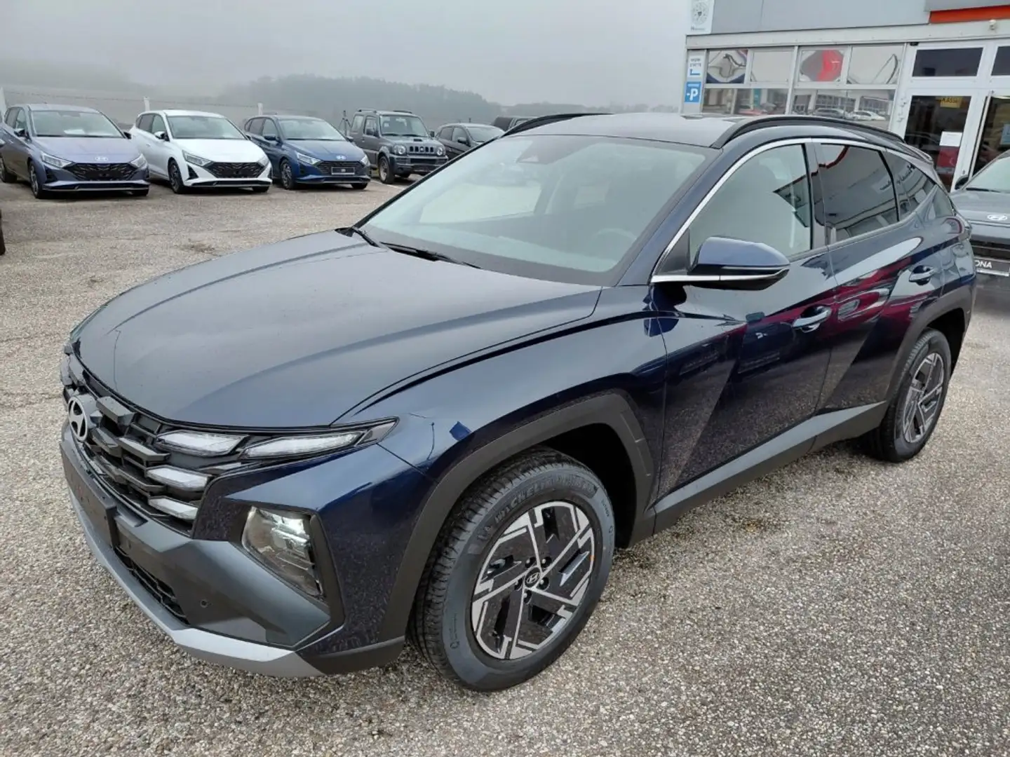 Hyundai TUCSON NX4 Jubile 1,6 T-GDi HEV 4WD AT t6hj2 Blau - 1
