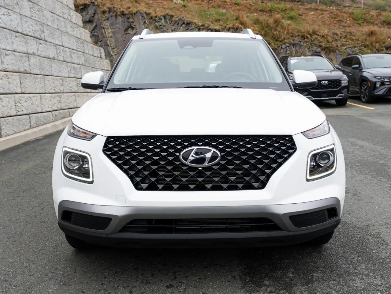 Hyundai Venue fotografie Hyundai Venue