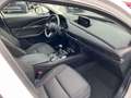 Mazda CX-30 2.0L Skyactiv-G M Hybrid 2WD Exceed Blanc - thumbnail 8