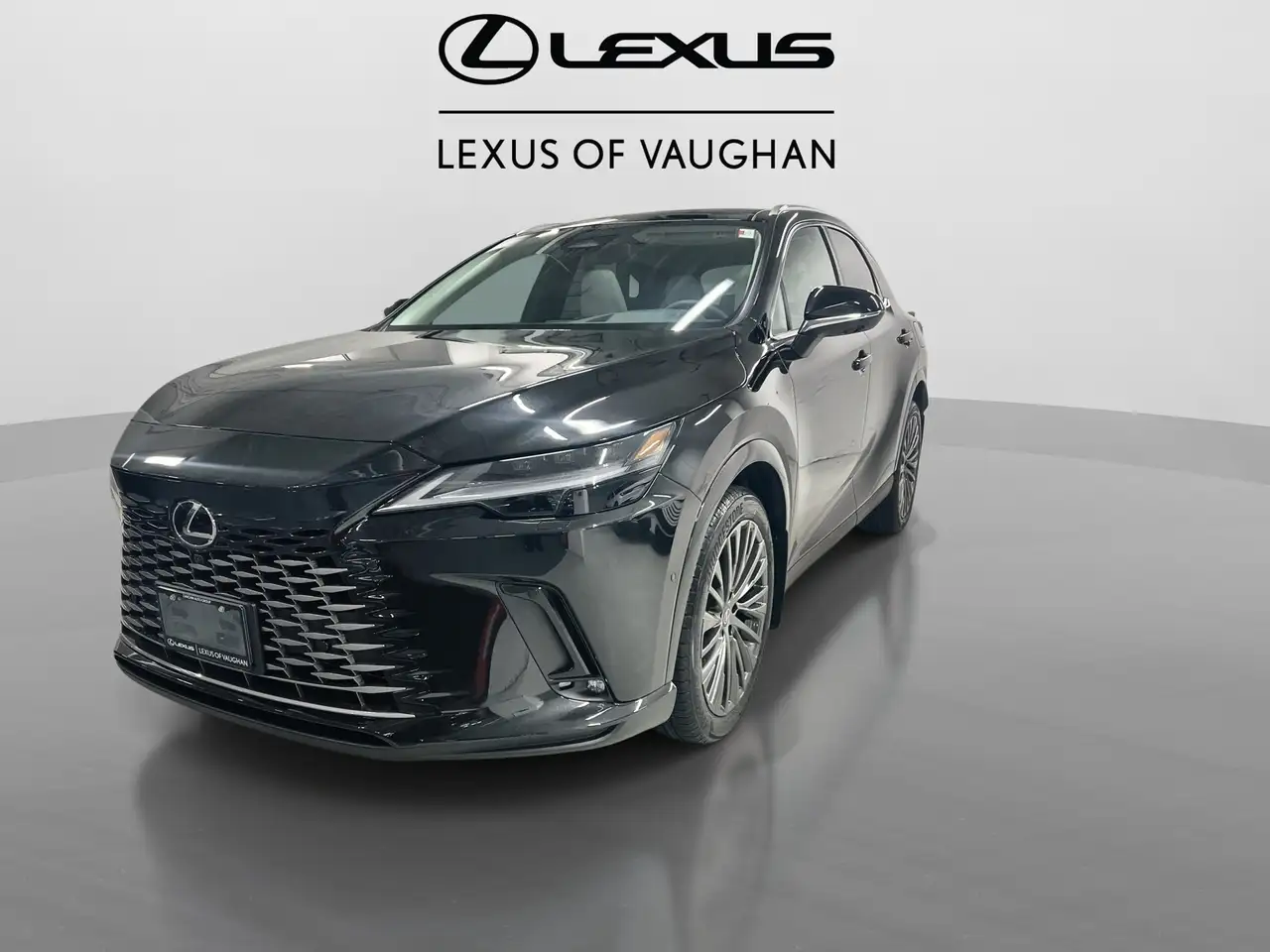 Lexus RX fotografie Lexus RX