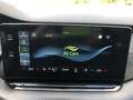 Skoda Octavia Combi RS 2.0 TSI AHZV MATRIX COLUMBUS Grün - thumbnail 19