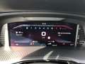 Skoda Octavia Combi RS 2.0 TSI AHZV MATRIX COLUMBUS Grün - thumbnail 10