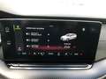 Skoda Octavia Combi RS 2.0 TSI AHZV MATRIX COLUMBUS Grün - thumbnail 16