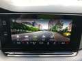Skoda Octavia Combi RS 2.0 TSI AHZV MATRIX COLUMBUS Grün - thumbnail 18