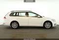 Volkswagen Golf Golf VII Variant 1.5 TSI Comfortline #DSG#PDC# Weiß - thumbnail 7