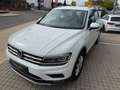 Volkswagen Tiguan Highline BMT/Start-Stopp,1.hand,Digital Bianco - thumbnail 5