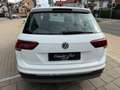 Volkswagen Tiguan Highline BMT/Start-Stopp,1.hand,Digital Bianco - thumbnail 12