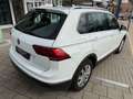 Volkswagen Tiguan Highline BMT/Start-Stopp,1.hand,Digital Bianco - thumbnail 13
