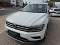Volkswagen Tiguan Highline BMT/Start-Stopp,1.hand,Digital Bianco - thumbnail 4