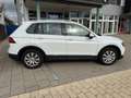 Volkswagen Tiguan Highline BMT/Start-Stopp,1.hand,Digital Bianco - thumbnail 15