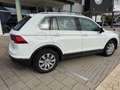 Volkswagen Tiguan Highline BMT/Start-Stopp,1.hand,Digital Bianco - thumbnail 14