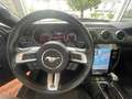 Ford Mustang Mustang Fastback 2.3 EcoBoost aut. Grigio - thumbnail 14