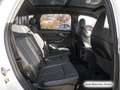 Audi SQ7 tiptr. StdHzg/Pano/AHK/HuD Weiß - thumbnail 16