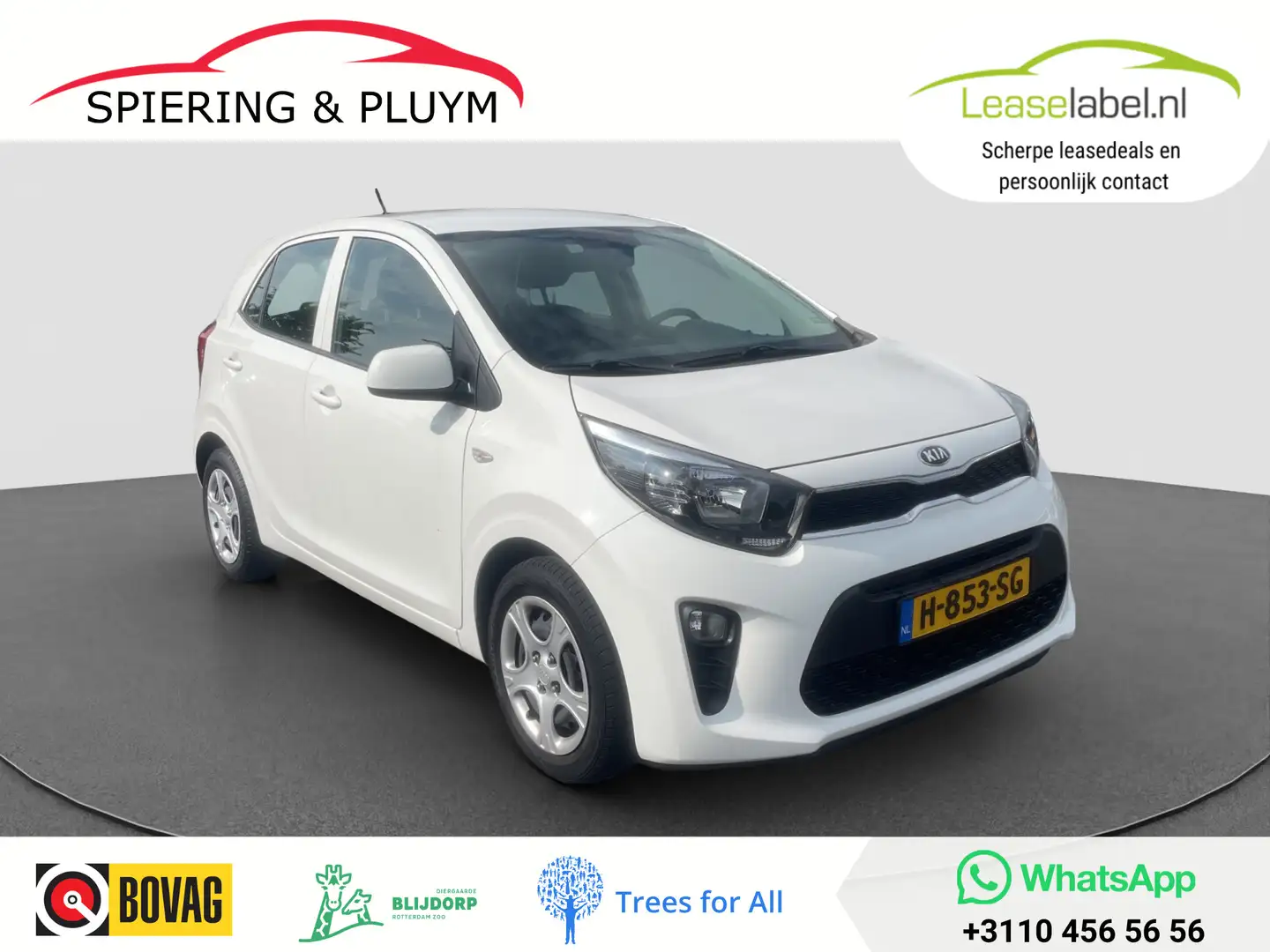 Kia Picanto 1.0 CVVT ComfortLine | Stoel/Stuurverw. | Airco | Blanc - 1