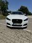 Jaguar XF 2.2d facelift full extra - thumbnail 7