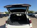 BMW X5 30 d M-Sport-Pro HARMAN/KARDON SOFT-ClOSE Weiß - thumbnail 20