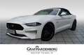 Ford Mustang GT Convertible Blanco - thumbnail 1