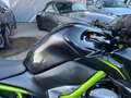 Kawasaki Z 900 Verde - thumbnail 9
