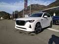 Mazda CX-60 2,5 BENZIN-PHEV AUT AWD TAKUMI PLUS Weiß - thumbnail 2