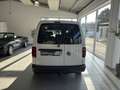 Volkswagen Caddy 2.0 TDI Trendline AHK*ALLWETTER*MWST Weiß - thumbnail 6