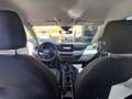 SEAT Arona Arona 1.0 tgi Style 90cv Bianco - thumbnail 5