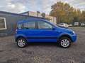 Fiat Panda 1.3 JTD Climbing 4X4 Blu/Azzurro - thumbnail 5