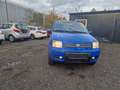 Fiat Panda 1.3 JTD Climbing 4X4 Blu/Azzurro - thumbnail 3