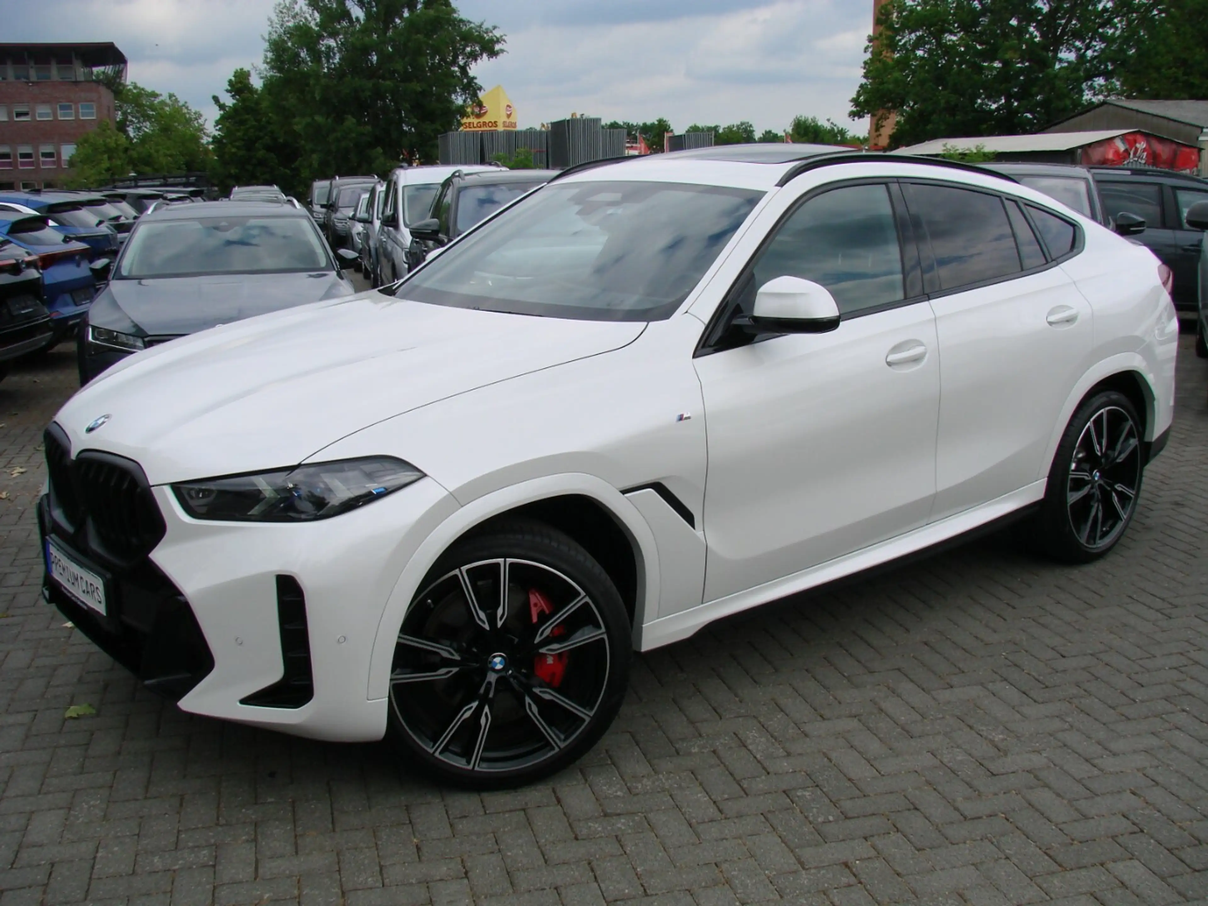 BMW X6 30d xDrive M Sport Pro SHZ Pano HUD H&K AHK SoftCl — photo 8