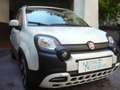 Fiat Panda Cross Pandina 1.0 FireFly Hybrid 5P Nuovo Modell Bianco - thumbnail 6