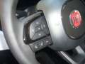 Fiat Panda Cross Pandina 1.0 FireFly Hybrid 5P Nuovo Modell Bianco - thumbnail 14