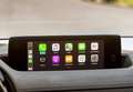 Mazda MX-30 e-Skyactiv R-EV Makoto Premium Sunroof Urban Expre - thumbnail 20