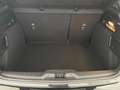 Ford Focus 1.5 ecoblue ST-Line 115cv auto 2024 Co Pilot Pack Zwart - thumbnail 24