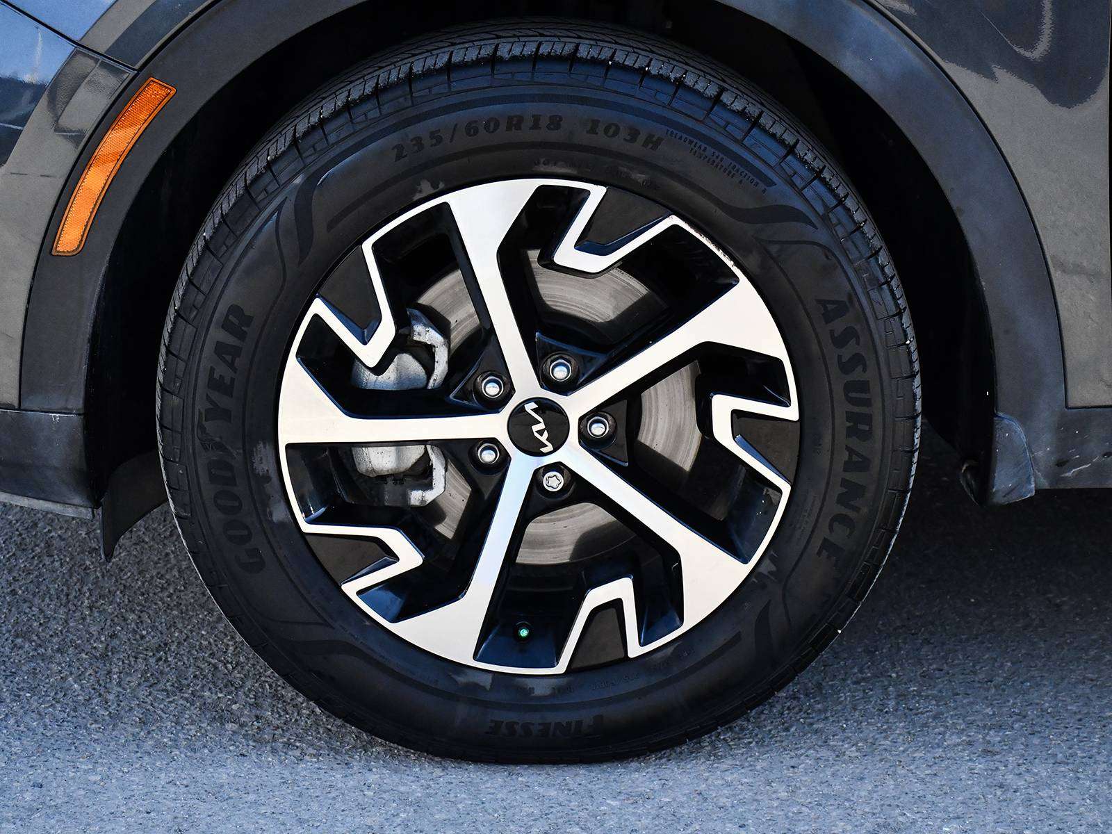 2023 Kia Sportage