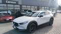 Mazda CX-30 CX-30 2.5 m-hybrid Homura 2wd 140cv 6mt Blanco - thumbnail 8