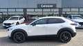 Mazda CX-30 CX-30 2.5 m-hybrid Homura 2wd 140cv 6mt Blanco - thumbnail 17