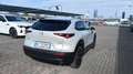 Mazda CX-30 CX-30 2.5 m-hybrid Homura 2wd 140cv 6mt Blanco - thumbnail 13