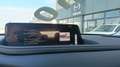 Mazda CX-30 CX-30 2.5 m-hybrid Homura 2wd 140cv 6mt Blanco - thumbnail 11