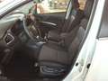 Suzuki S-Cross 1.4 Hybrid Allgrip shine Blanc - thumbnail 9