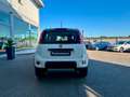 Fiat Panda Panda 0.9 TwinAir Turbo S&S 4x4 Bianco - thumbnail 6