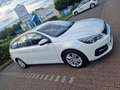 Peugeot 308 Active Business Weiß - thumbnail 2