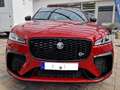 Jaguar F-Pace 5.0 SVR AWD Panorama Vollleder neuwertig Rot - thumbnail 3
