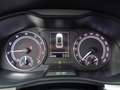 Skoda Kamiq Kamiq 1.0 TSI Ambition Grau - thumbnail 10