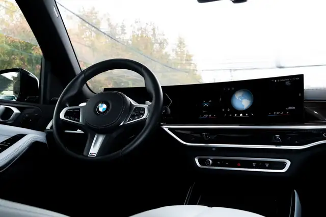 BMW X5 X5 view 14