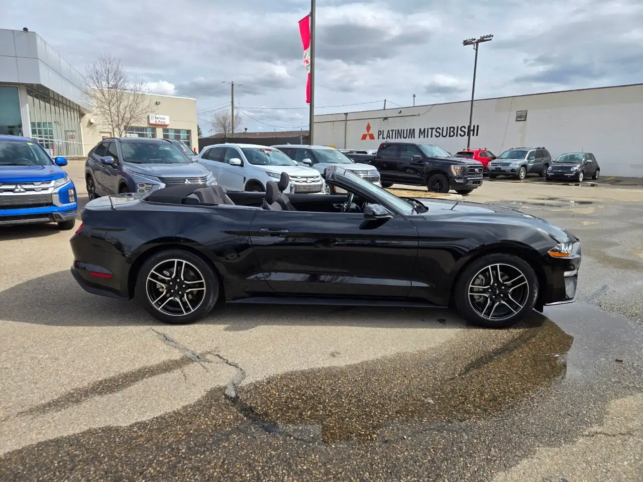 Ford Mustang photo Ford Mustang