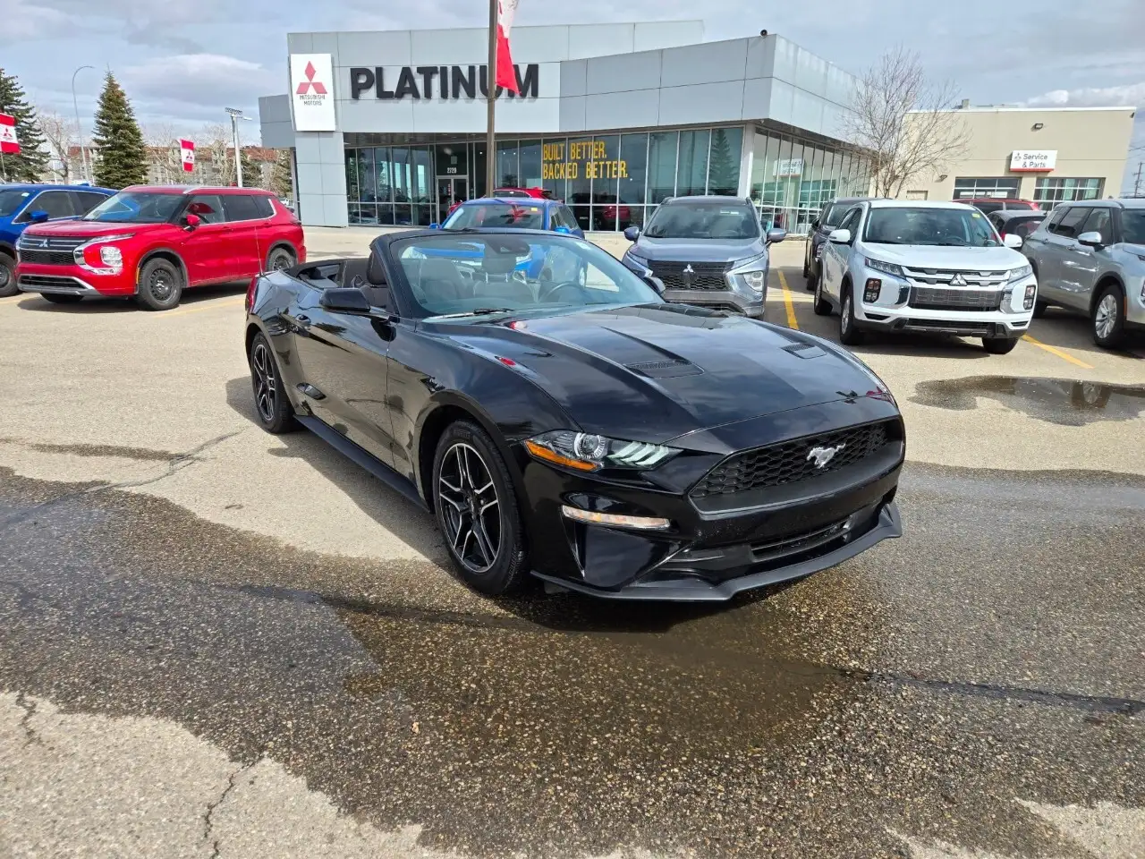 Ford Mustang photo Ford Mustang