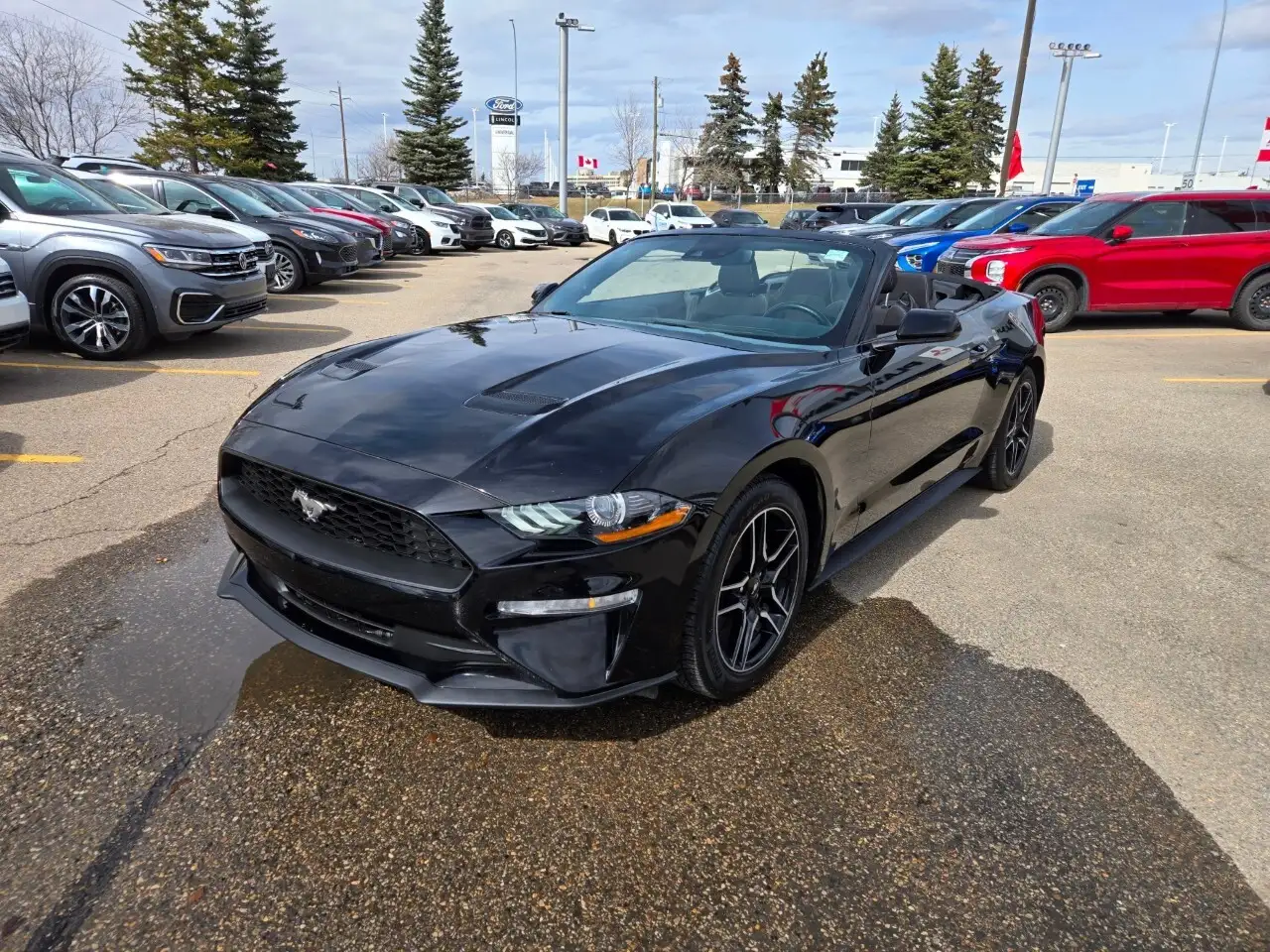 Ford Mustang photo Ford Mustang