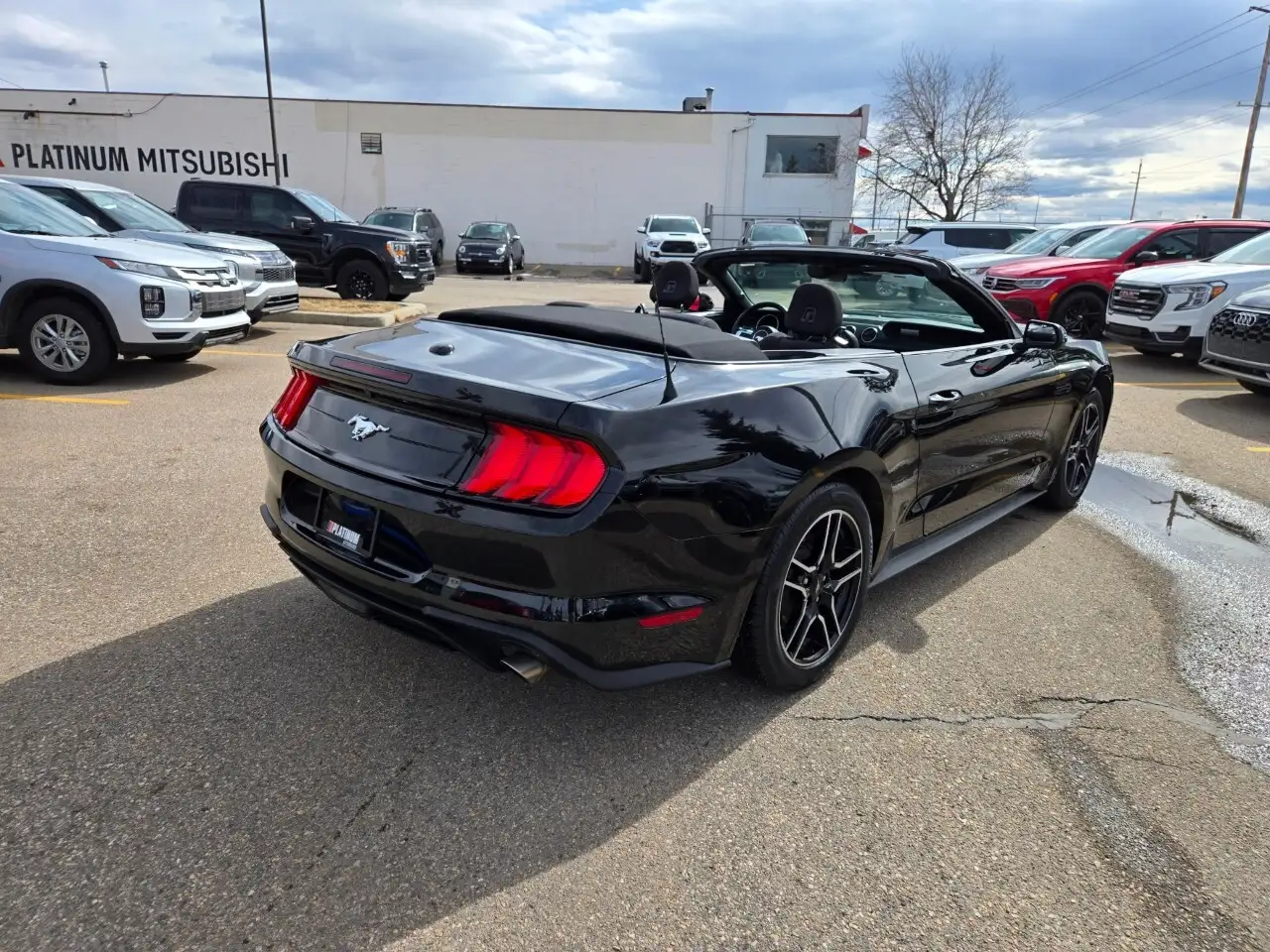 Ford Mustang photo Ford Mustang