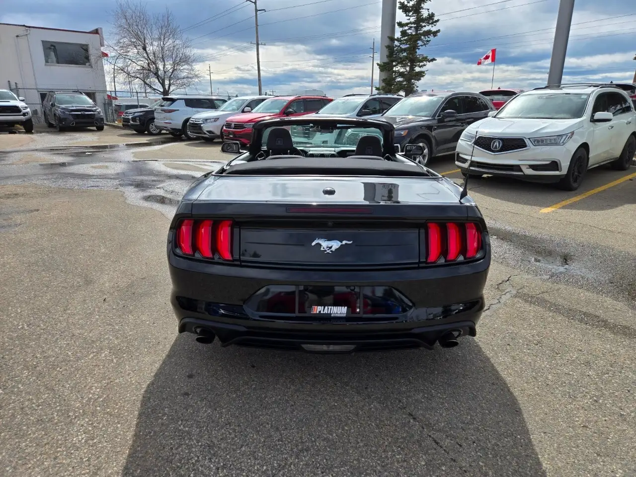 Ford Mustang photo Ford Mustang
